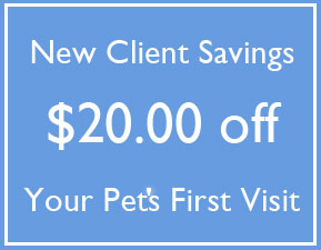 20 off new client