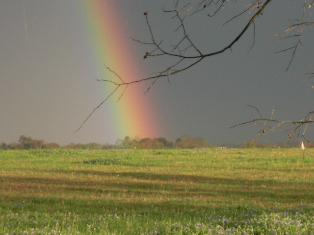 rainbow